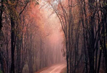 阿斯顿维拉客场大胜水晶宫，壮志凌云