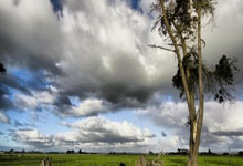 国际足球比赛中女运动员表现出色：勇闯赛场的她们