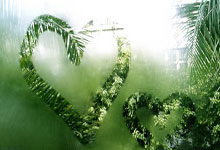 强力反击破敌突围，球队士气高涨信心百倍