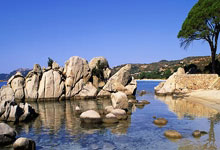 法国女足不敌德国：梦想终点，未来的希望